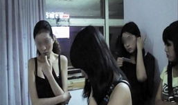 成人免费在线黄色视频,成人免费在线黄色视频的隐秘世界