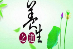 养生之道视频,揭秘健康生活的秘诀