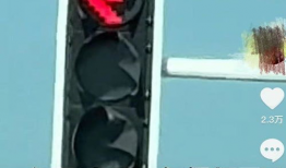 红绿灯视频,视频揭示安全出行之道